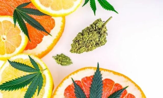 Botanical Synergy with Terpenes and CBD
