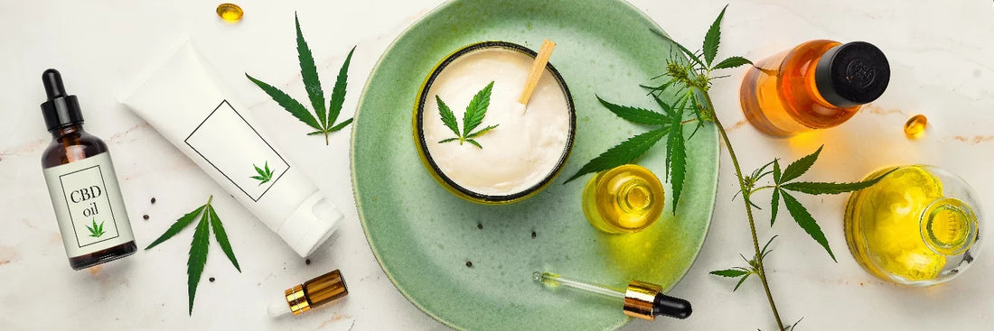 The Rising Popularity of CBD: 5 Key Reasons