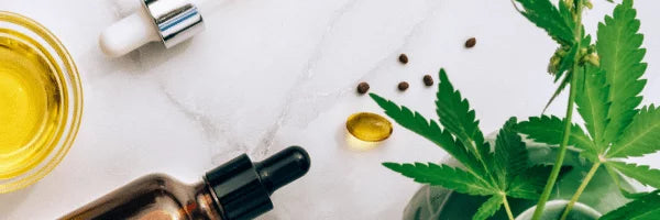 CBD Isolate vs Full Spectrum CBD Oil - Which one is better?