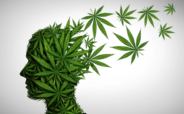 Is CBD Good for Mental Health?