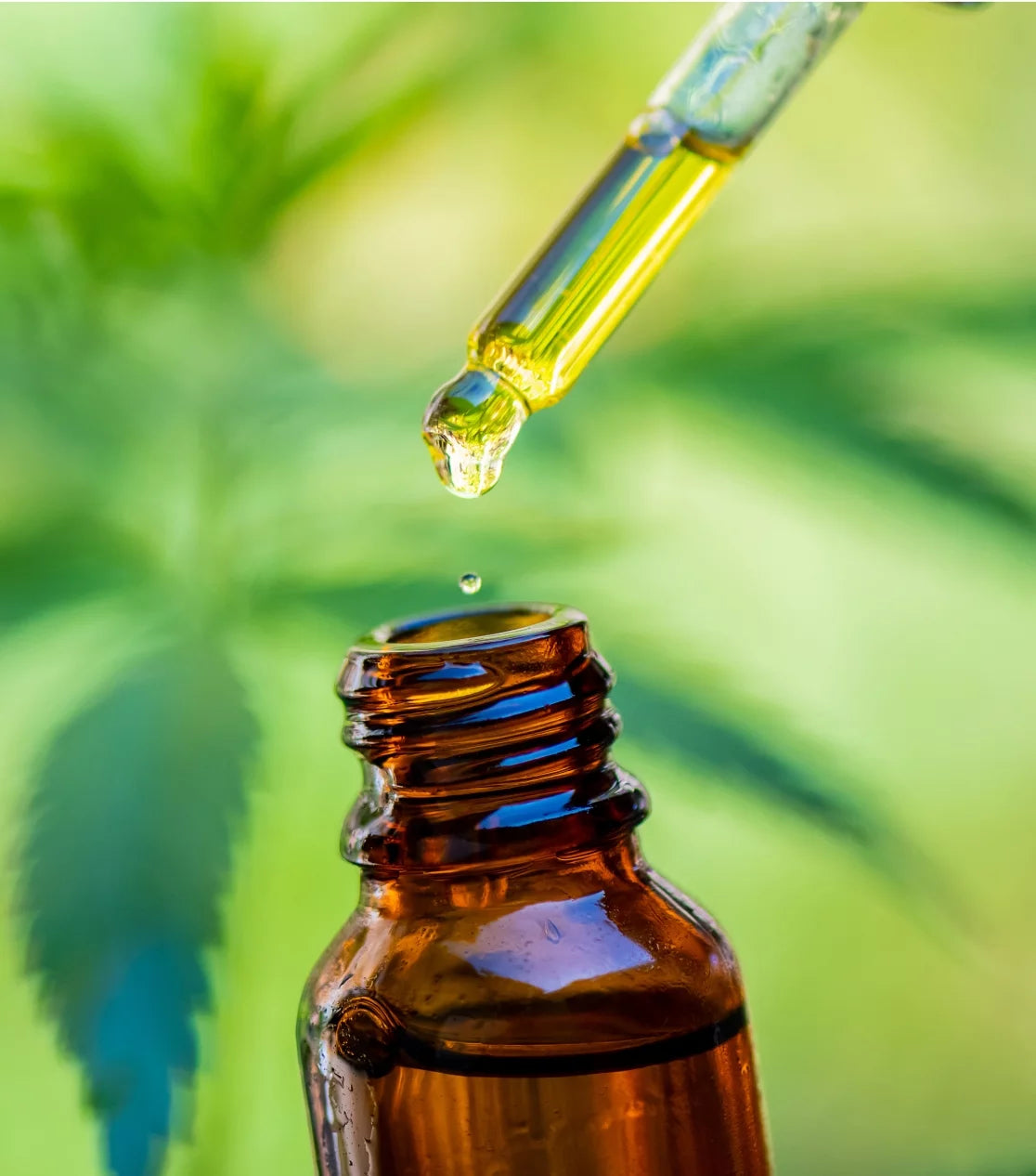divine elements cbd