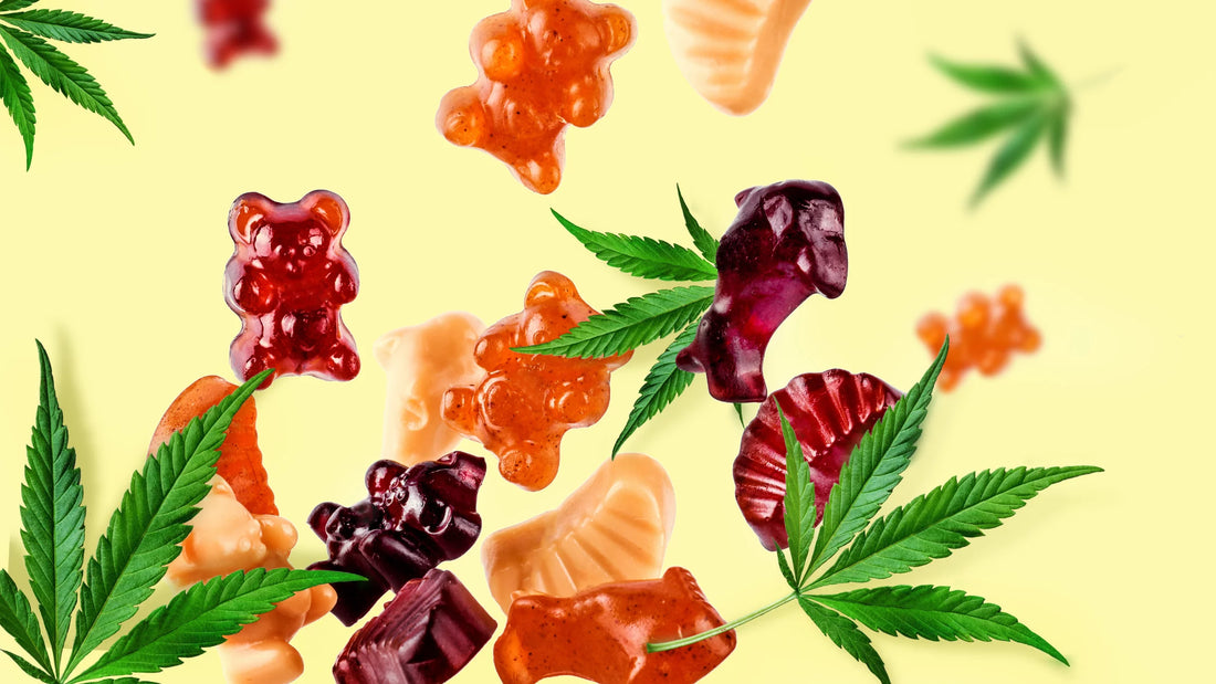 What You Need To Know About CBD + THC Gummies